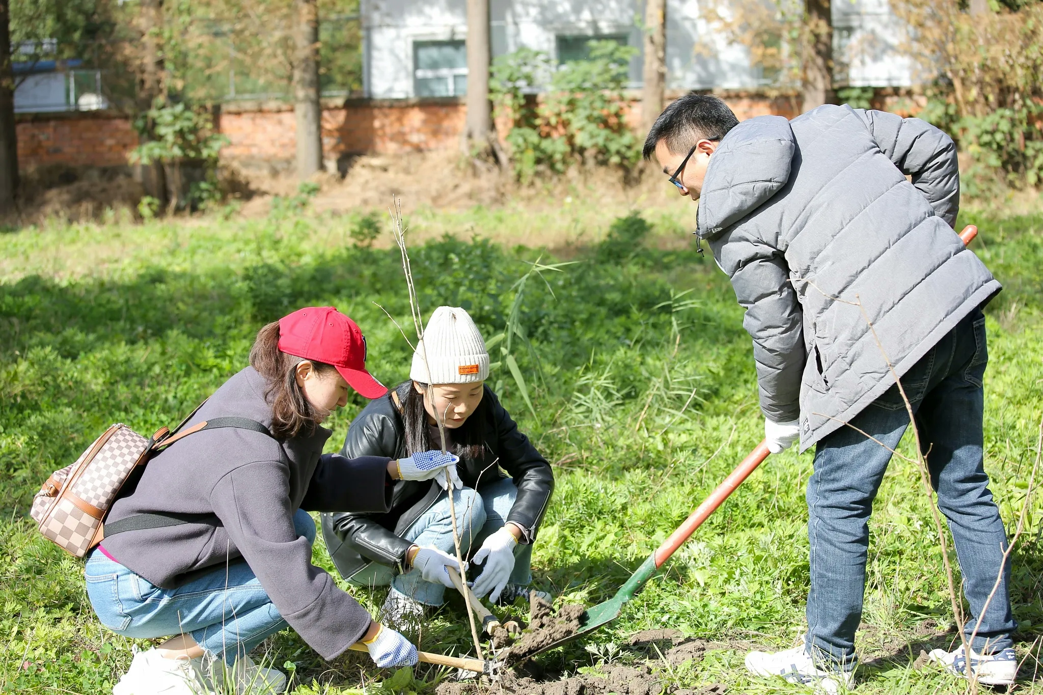 Teamwork to plant the tree SM58(Joyce Chen, Catherine Chen, Sam Yang).webp